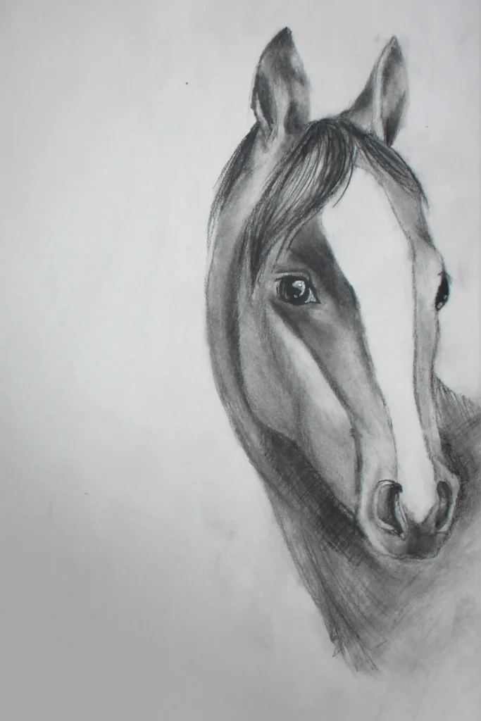 dessin cheval