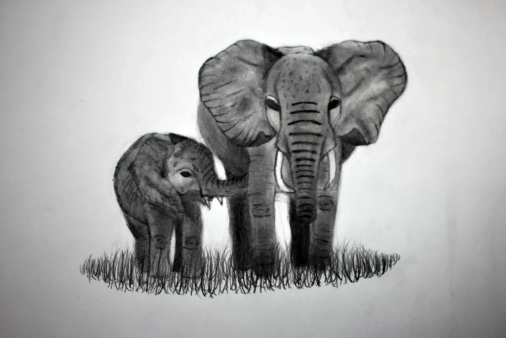 dessin éléphants
