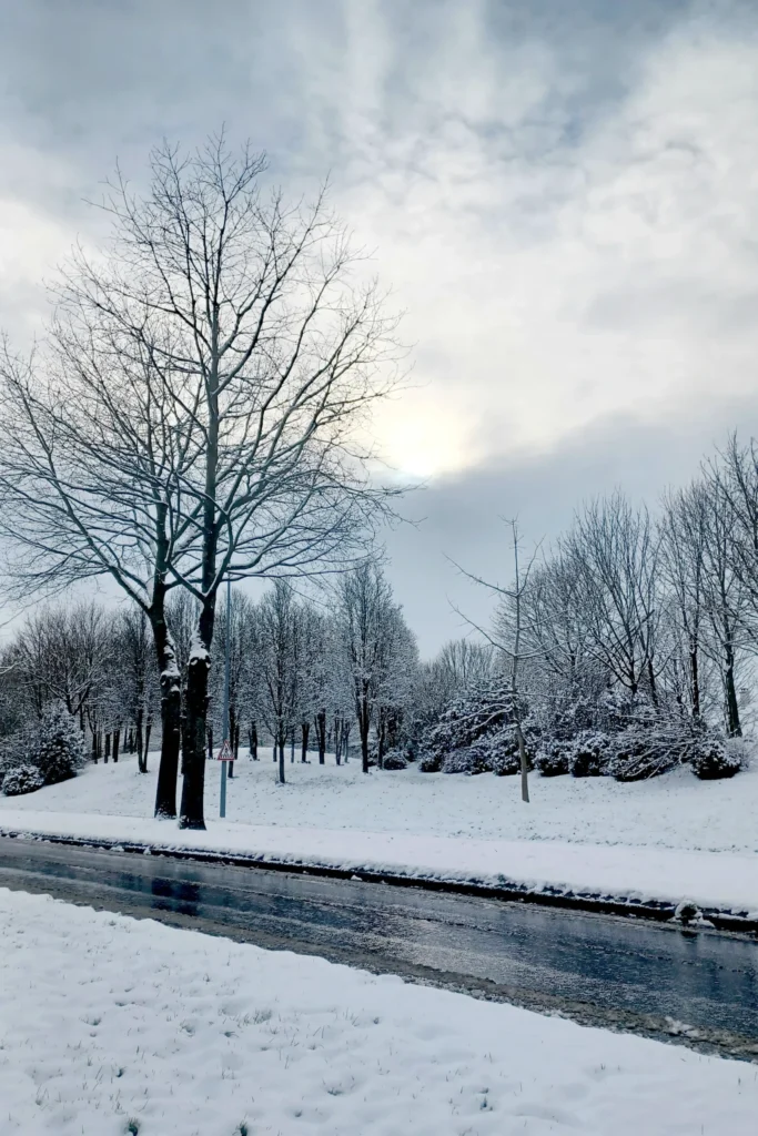 photo neige