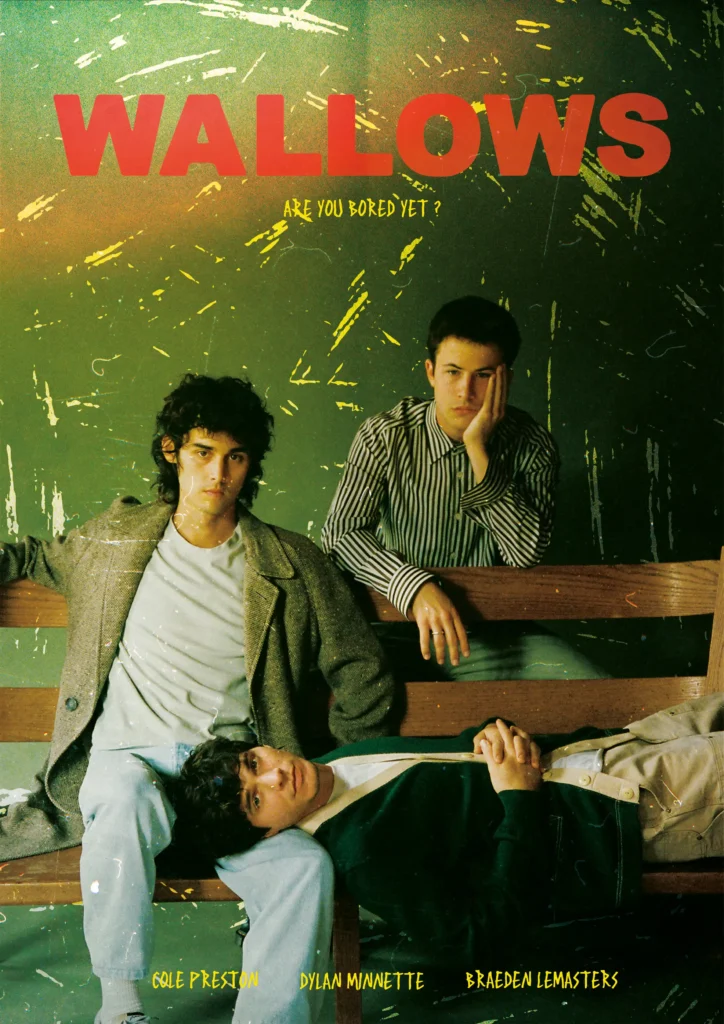 Affiche Wallows